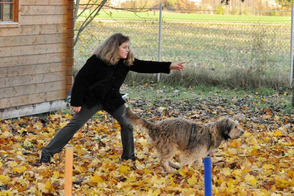 tobias-soellner-training-3