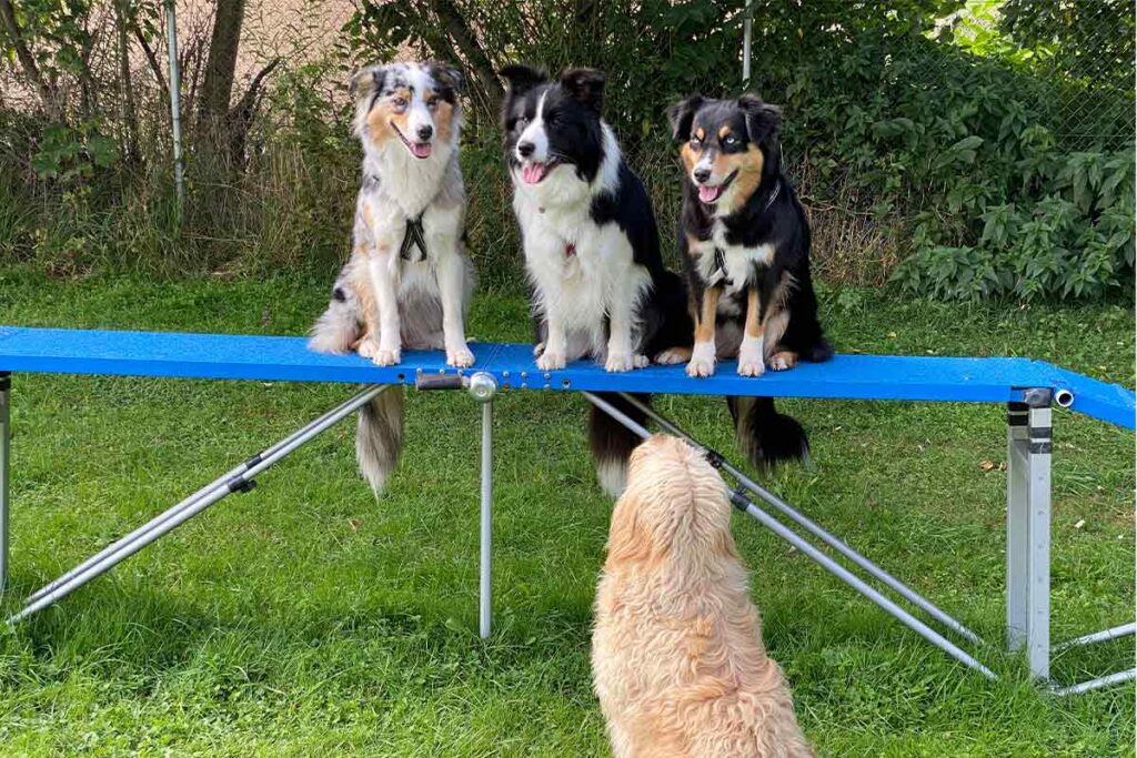 tobias-soellner-training-6