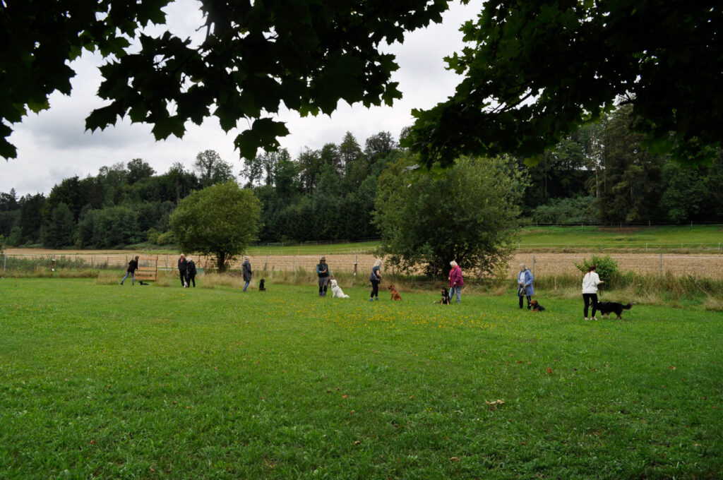 tobias-soellner-gruppe-2