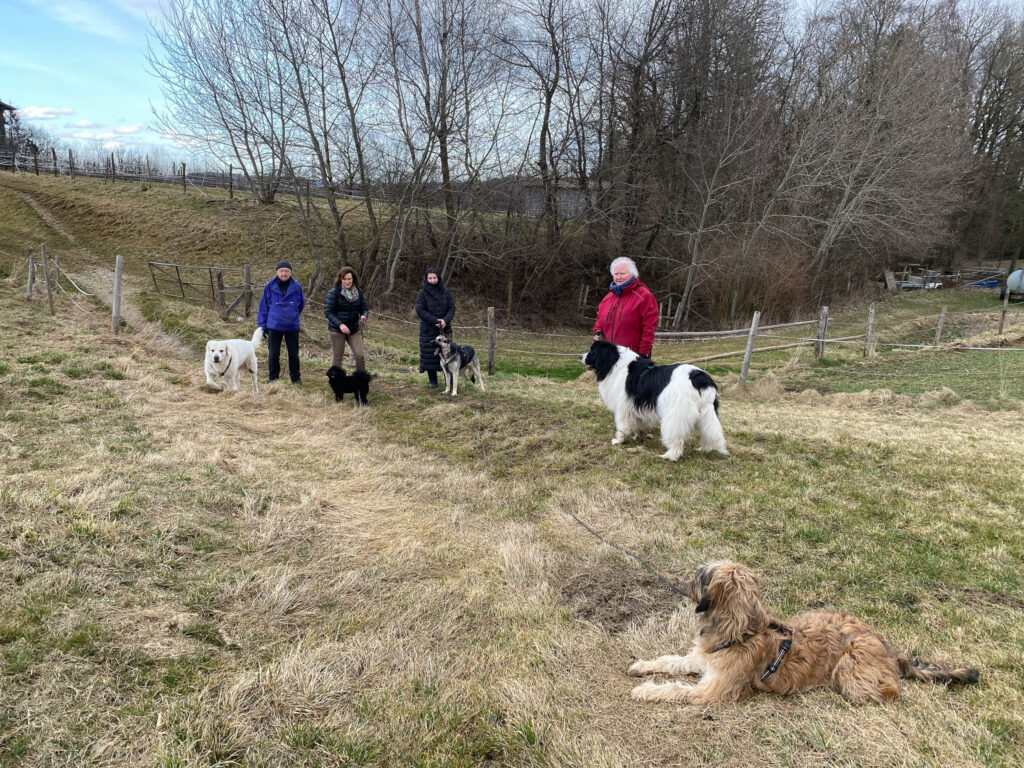 tobias-soellner-gruppe-4