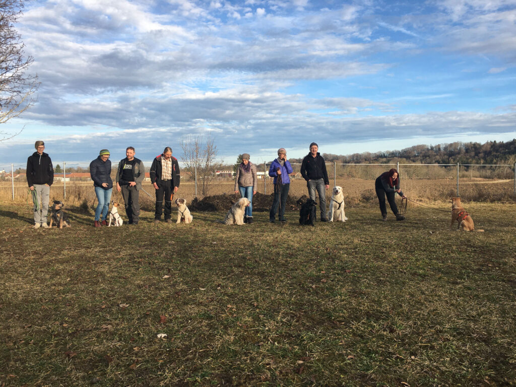 tobias-soellner-gruppe-6