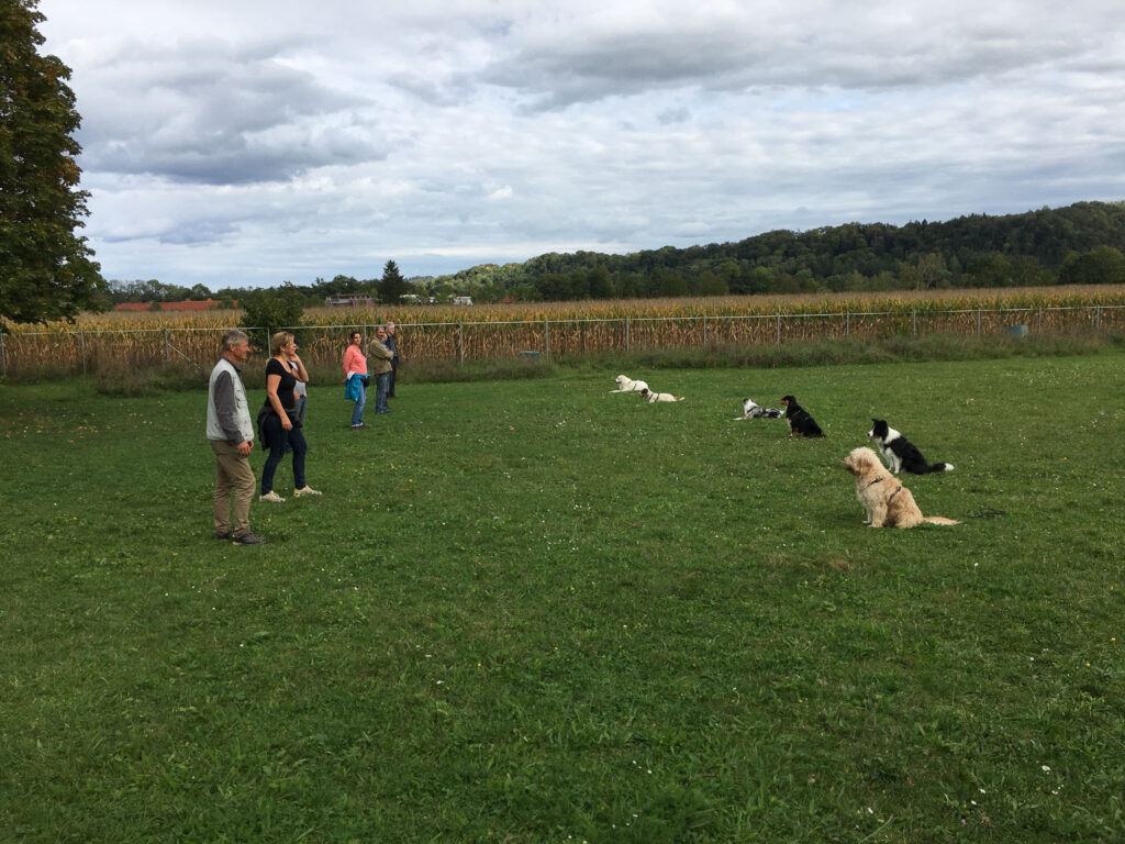 tobias-soellner-gruppe-7